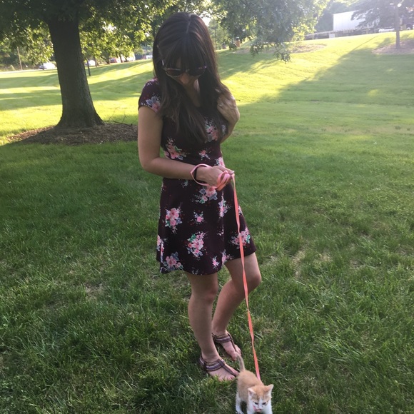 Meet your Posher, Courtney - Picture 2 of 4